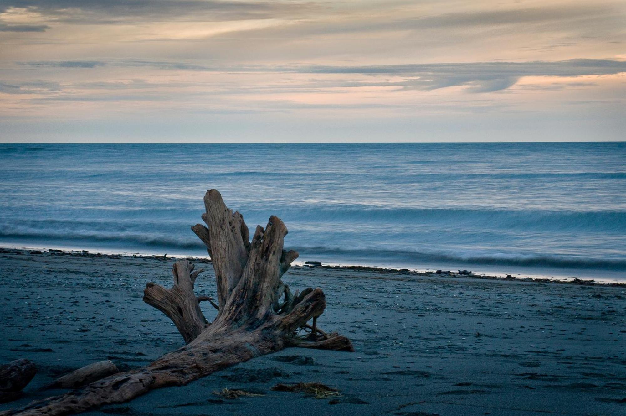 Paroa Hotel Greymouth Dış mekan fotoğraf